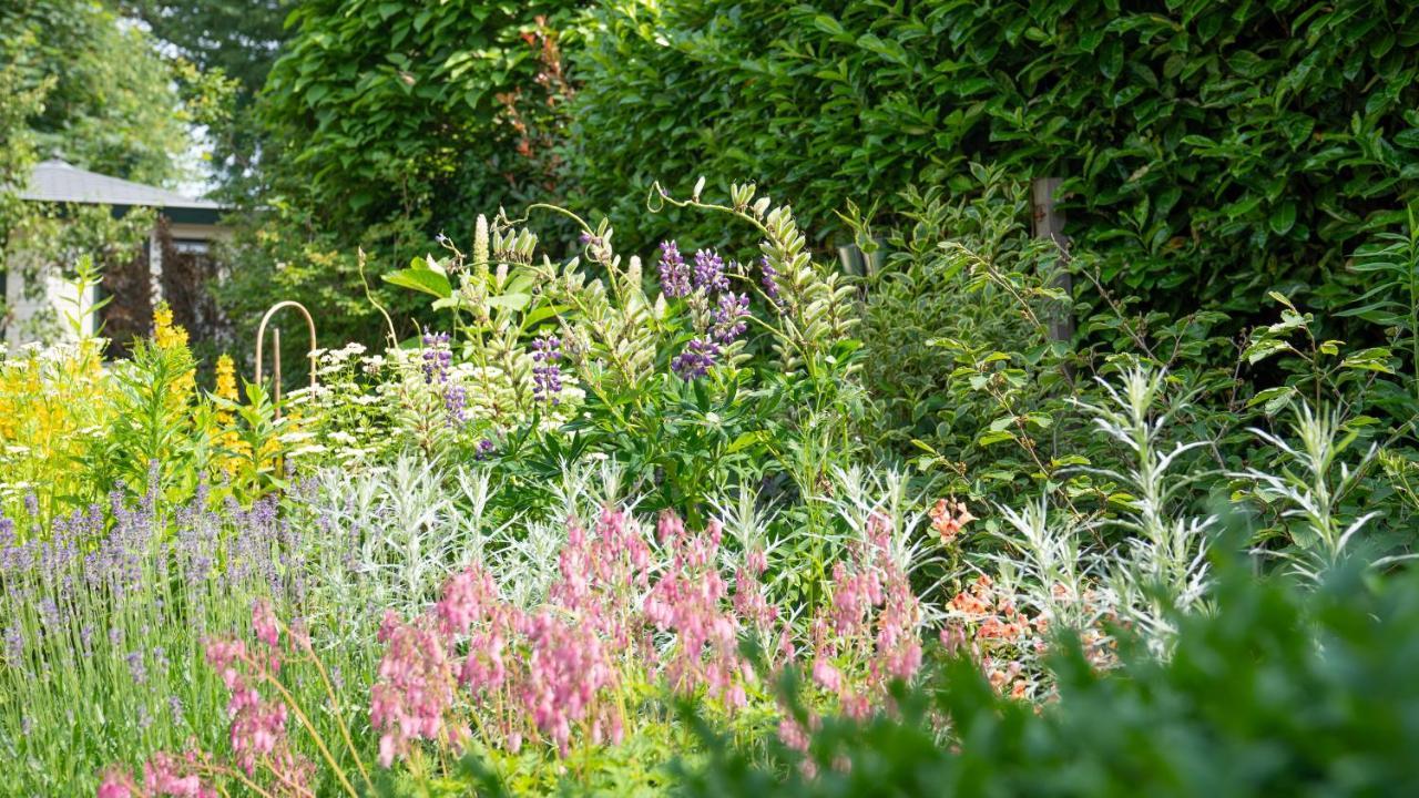 De Anselier Bed & Breakfast Ansen Bagian luar foto